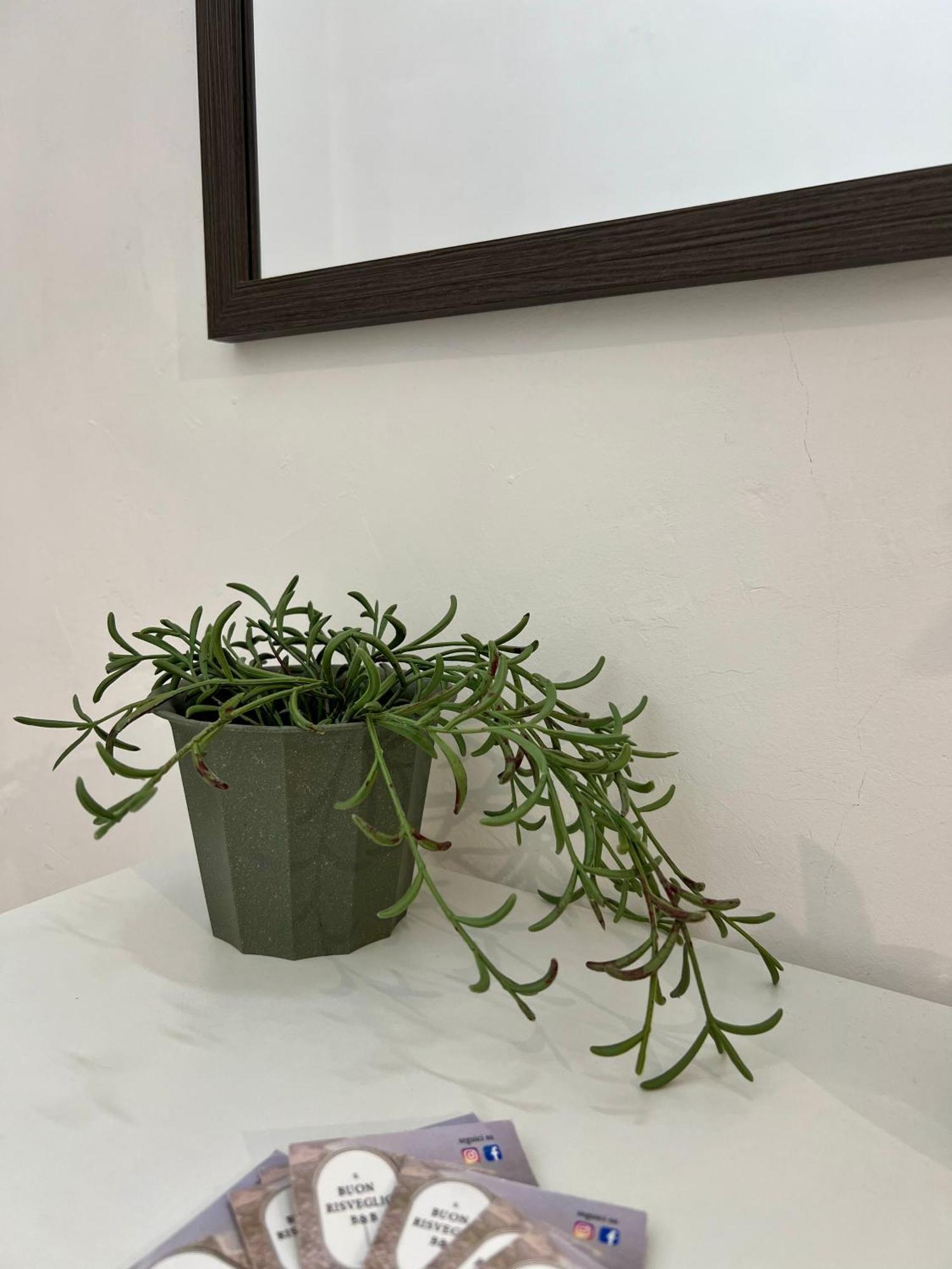 Il Buon Risveglio B&B Agropoli Buitenkant foto